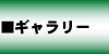 フォトギャラリー